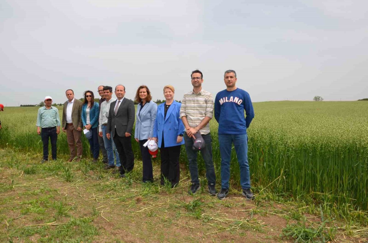 Saray’da ’tarla günü’ düzenlendi