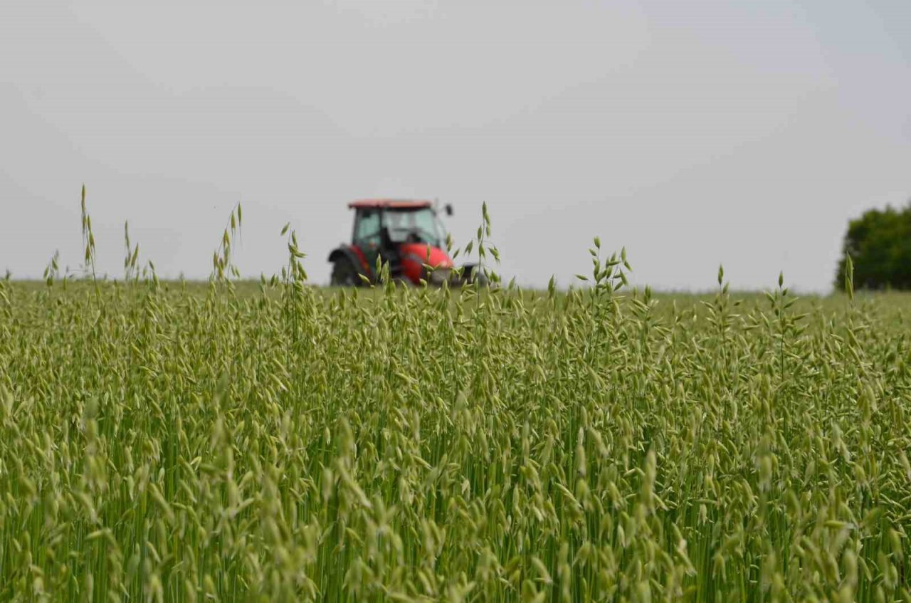 Saray’da ’tarla günü’ düzenlendi