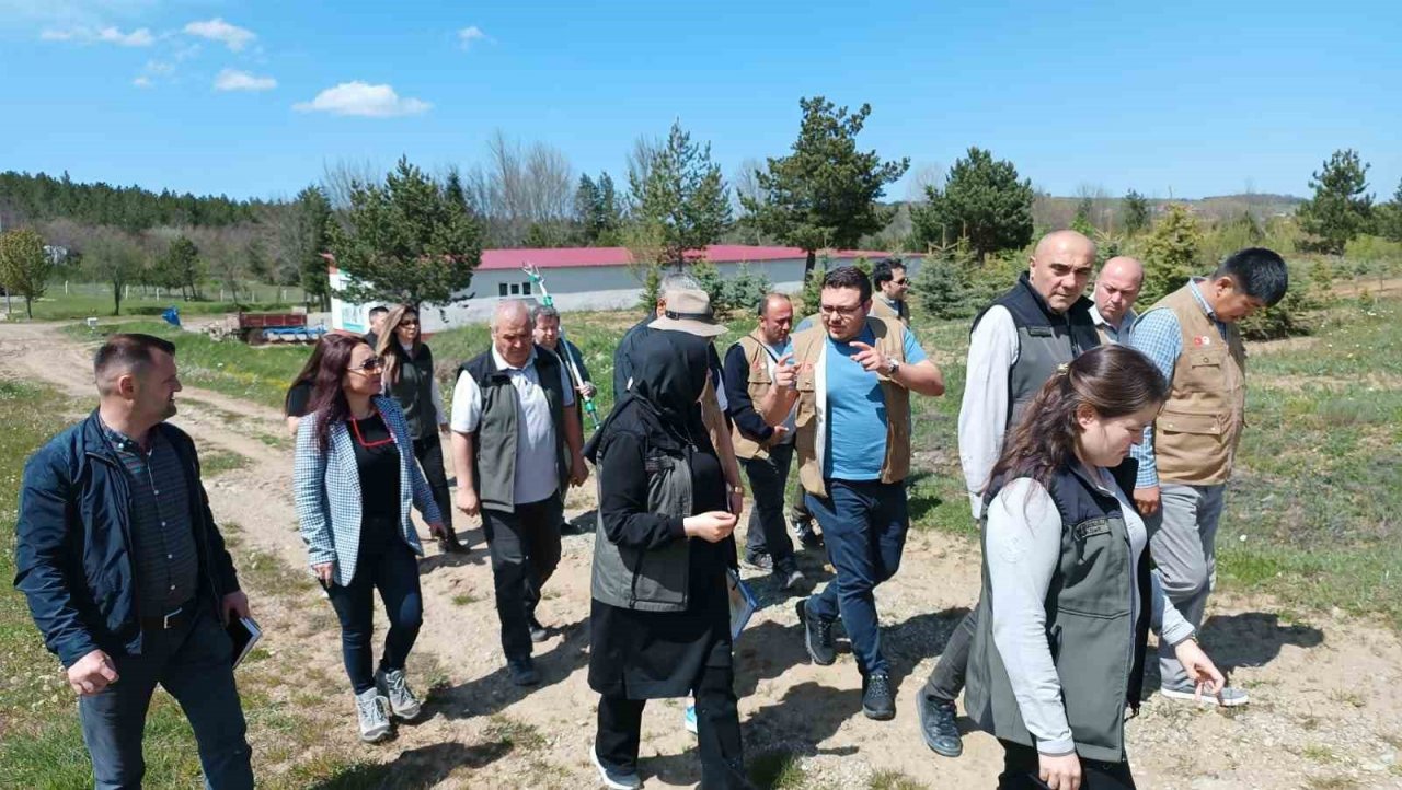 5 farklı ülkeden gelen temsilciler Kastamonu’daki tohum bahçelerini gezdi