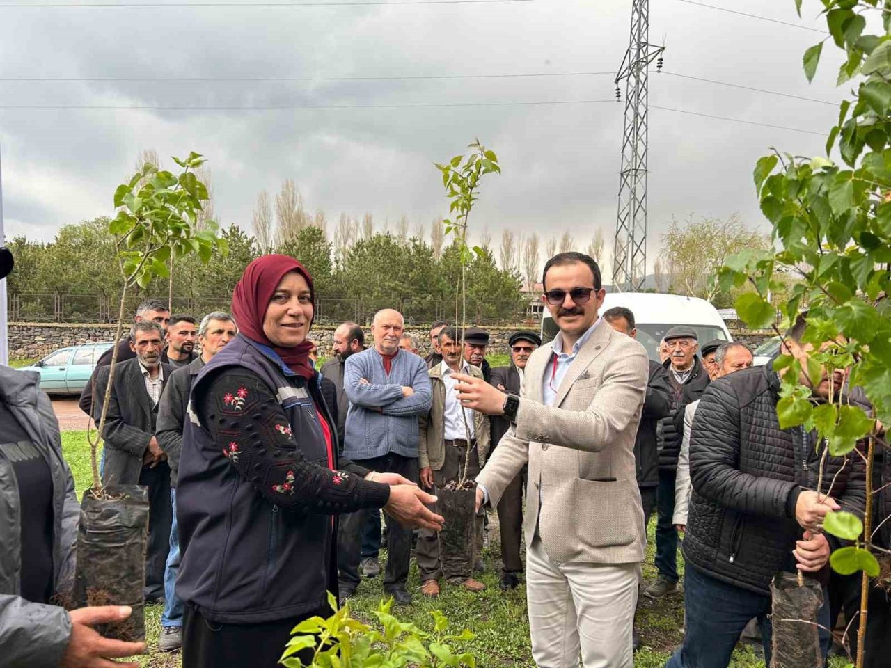 Ardahan’da arı yetiştiricilerine fidan verildi