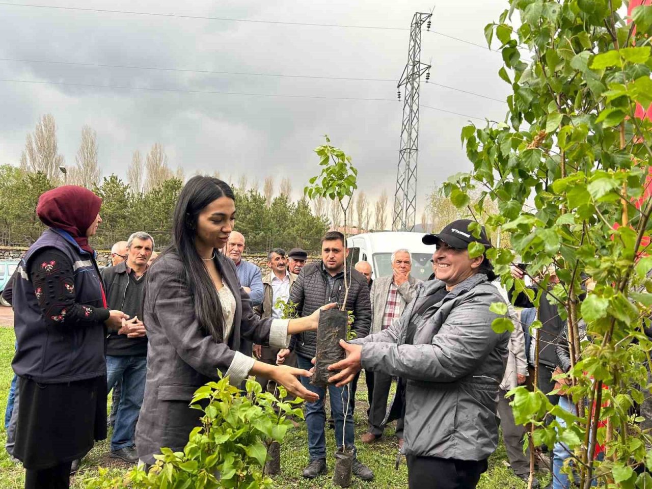 Ardahan’da arı yetiştiricilerine fidan verildi