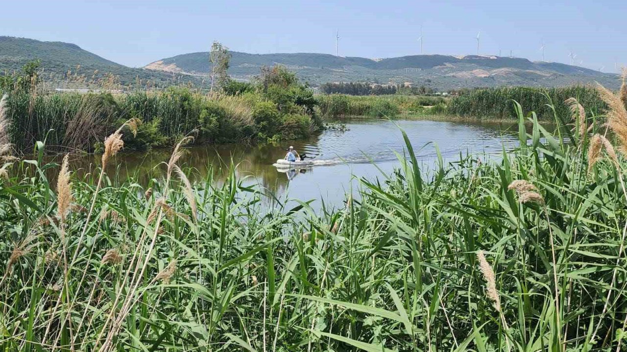 Aydın’da hayalet ağ operasyonu