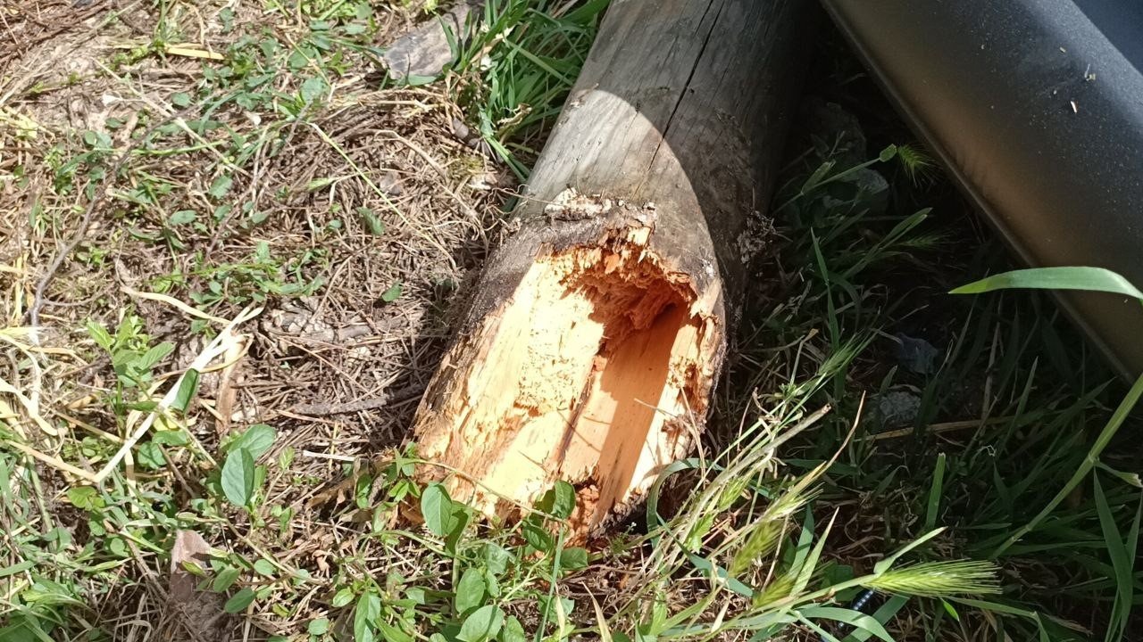 Tamirat için çıktığı direkle beraber yere düştü