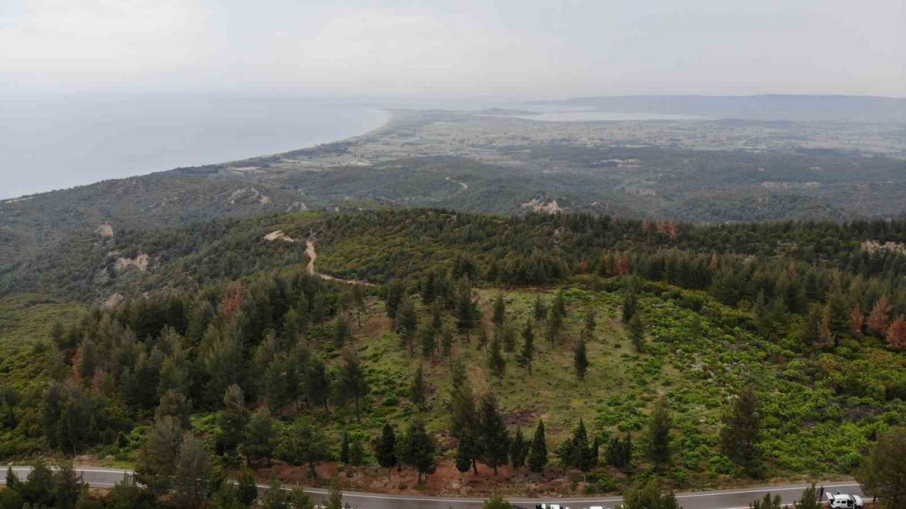 Çanakkale’de 108 yıllık 28’inci Alay Şehitliği bulundu