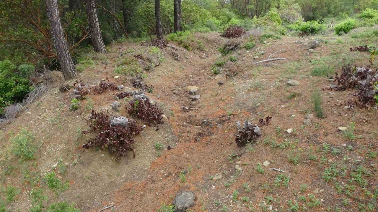 Çanakkale’de 108 yıllık 28’inci Alay Şehitliği bulundu