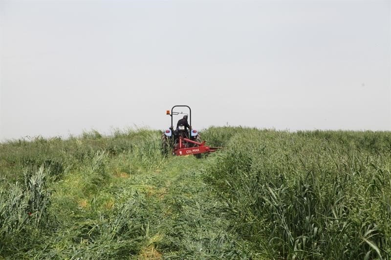 Dört dörtlük projede hasat başladı