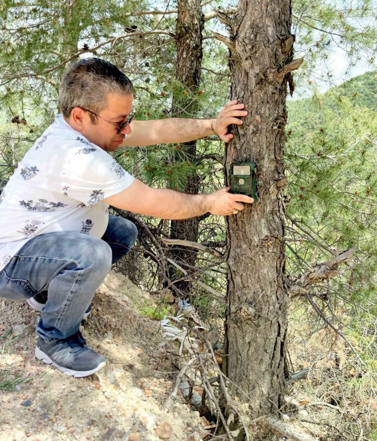 Fotokapanlar yaban hayatını korumak için kuruldu