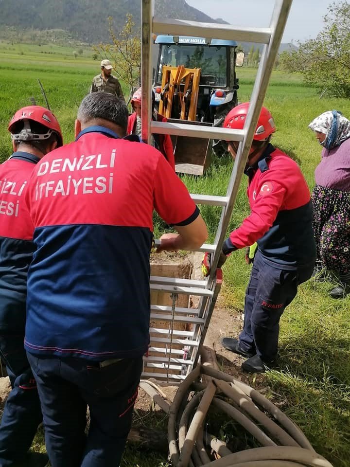 Kuyuya düşen 10 küçükbaş hayvan tek tek kurtarıldı