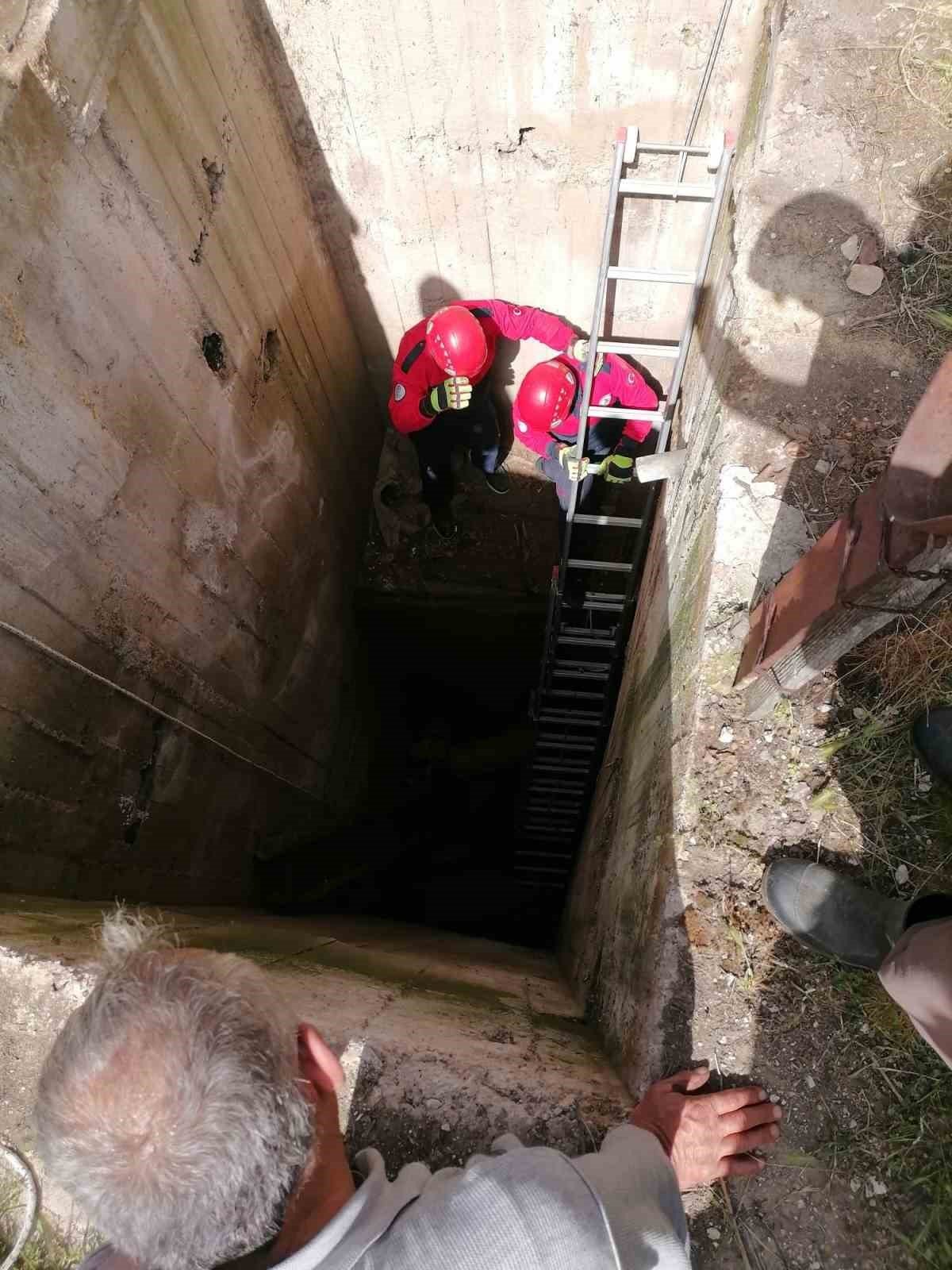 Kuyuya düşen 10 küçükbaş hayvan tek tek kurtarıldı