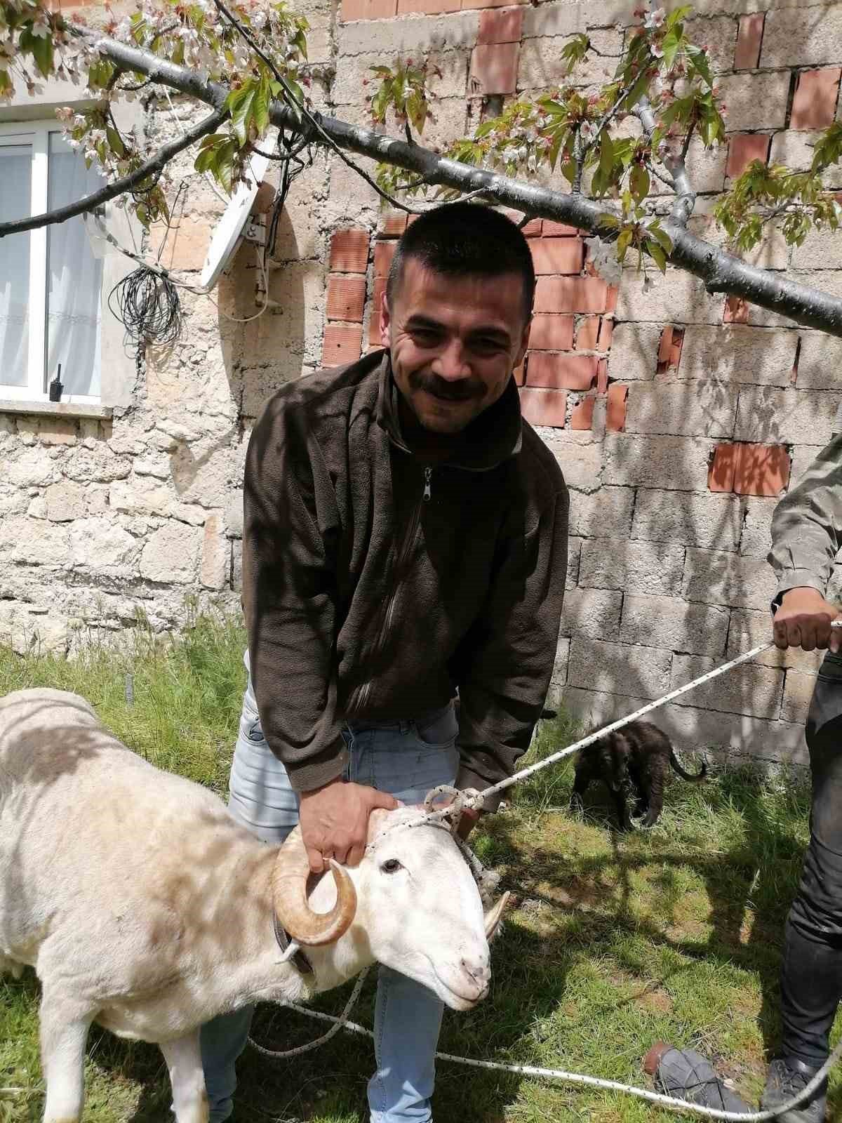 Kuyuya düşen 10 küçükbaş hayvan tek tek kurtarıldı