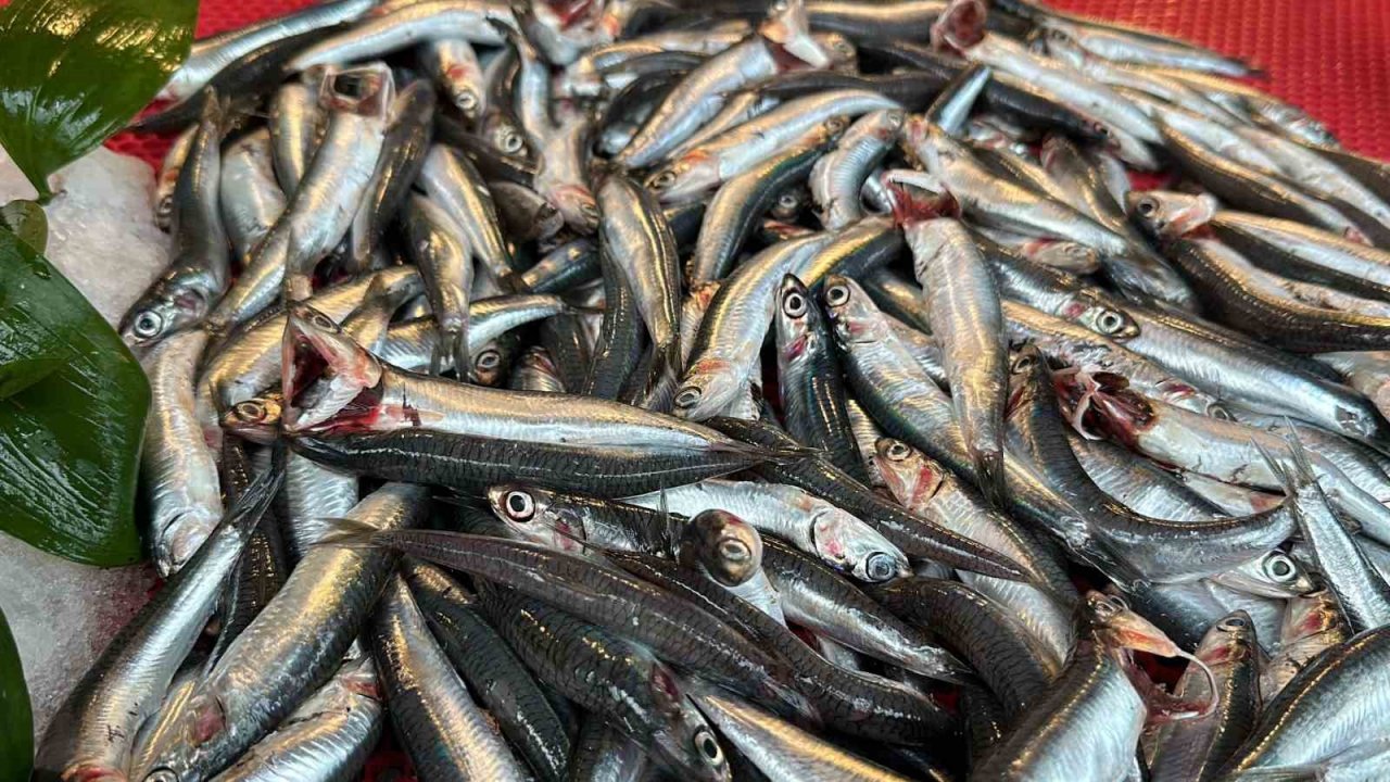 Av yasağı ve olumsuz hava koşulları tezgahı etkiledi