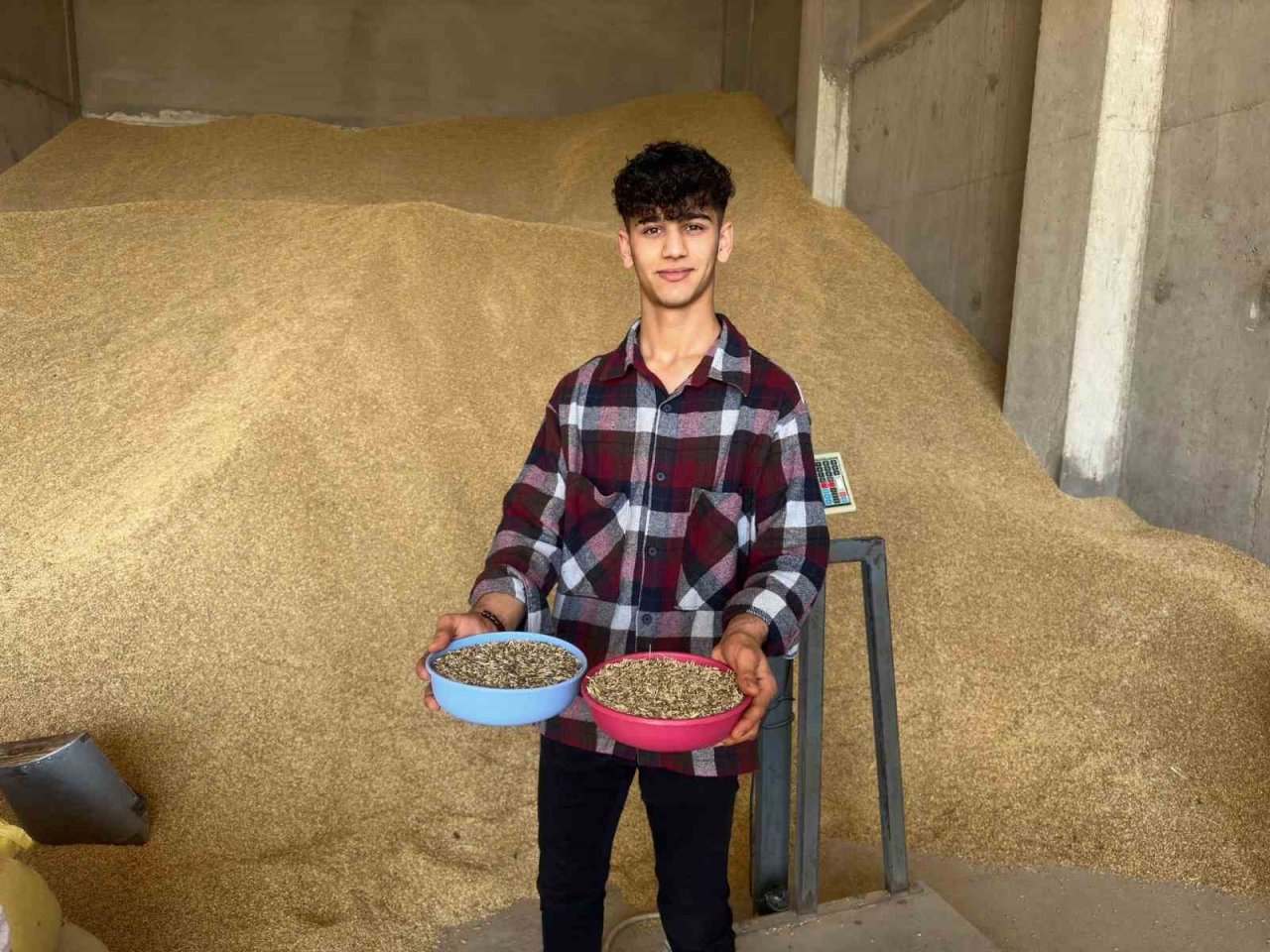 Mardin’de ilk arpa hasadında verim artışı çiftçinin yüzünü güldürdü