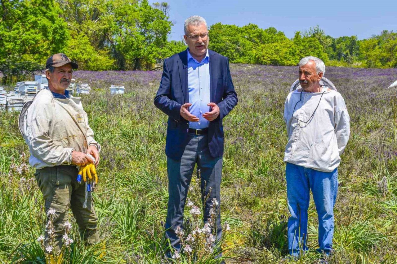 Karacabey’de Longoz ormanlarında görsel şölen