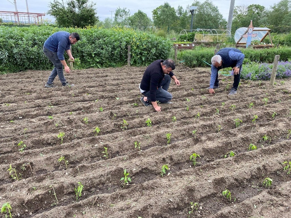 Öğrenciler Kent Bostanları’nda tarımla tanıştı