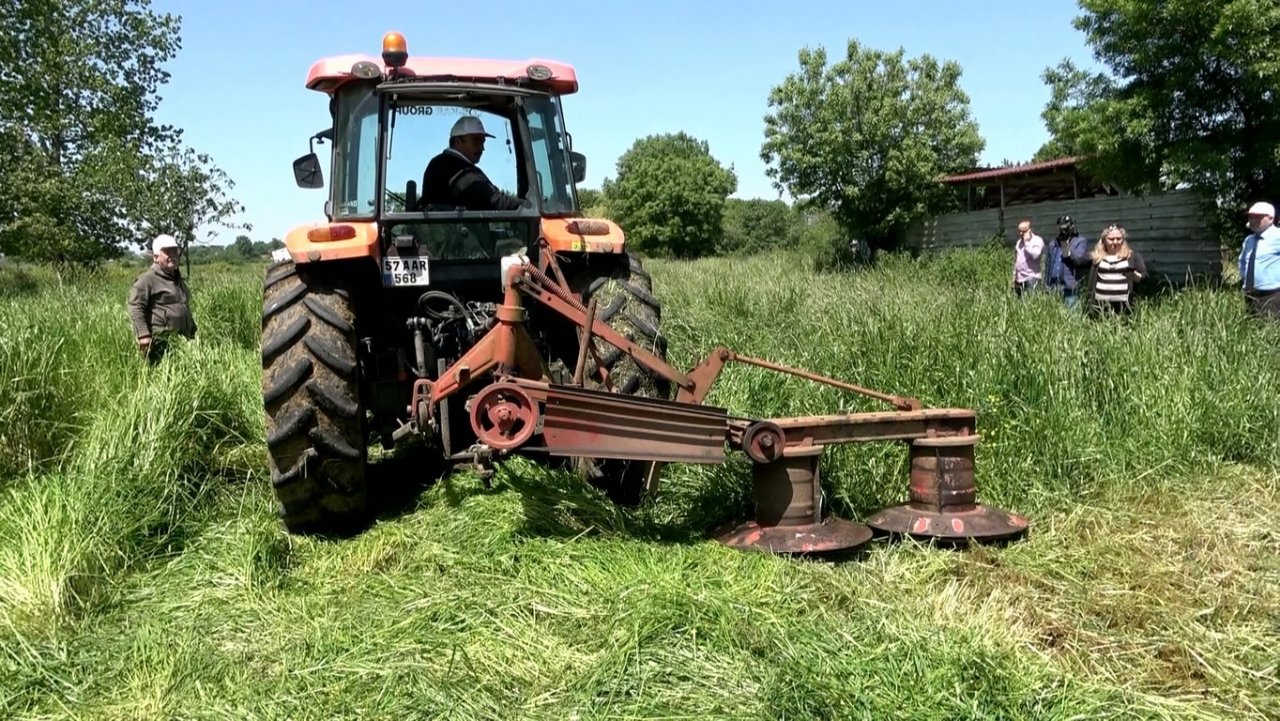 Tarla günü: İlkadım çeşidi hasat edildi