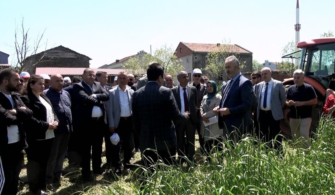 Tarla günü: İlkadım çeşidi hasat edildi