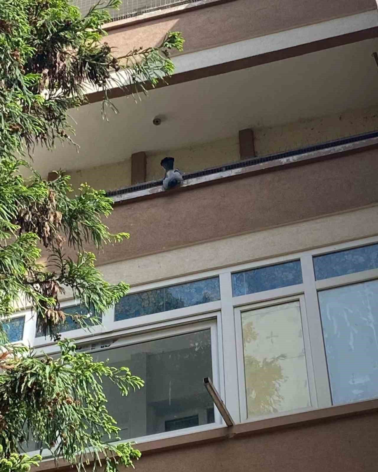 Yalova’da ayağına ip dolanan güvercini itfaiye kurtardı