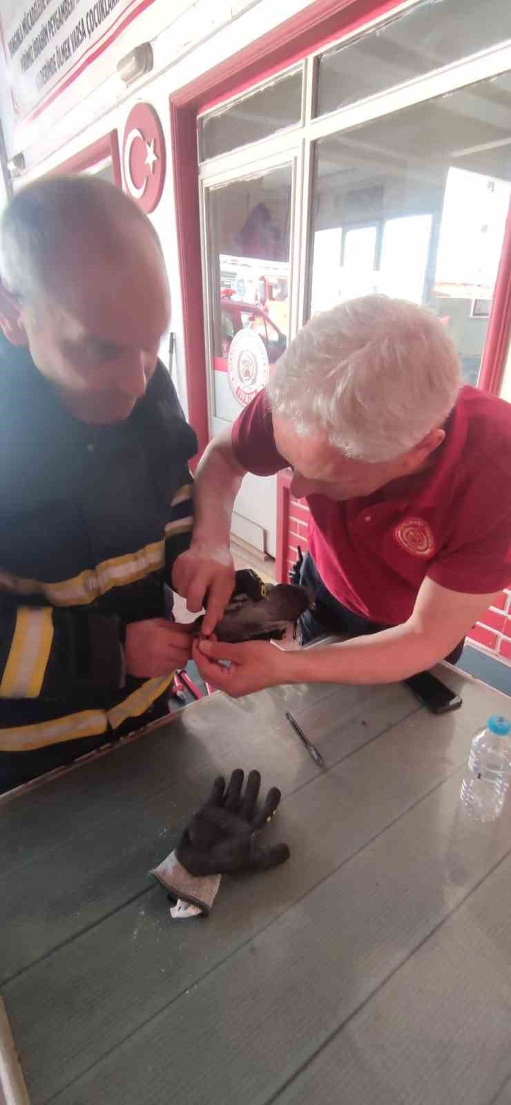 Yalova’da ayağına ip dolanan güvercini itfaiye kurtardı