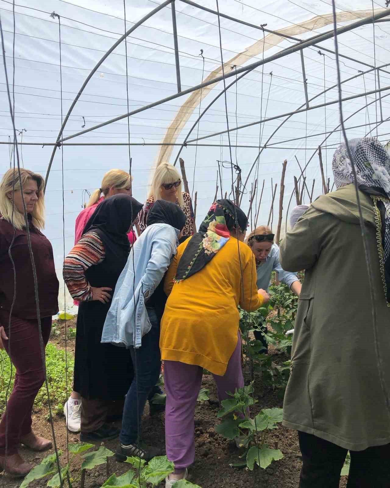 Kadın çiftçilere "Seracı Belgesi" verilecek