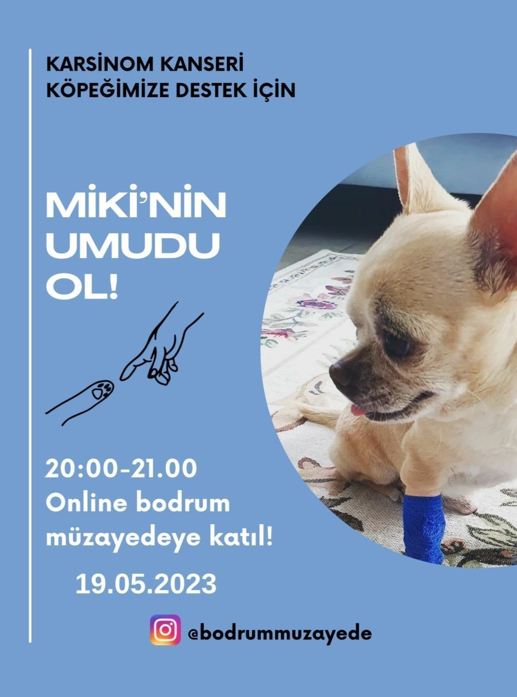Bodrum Müzayede ’Miki’ için mezat yapacak