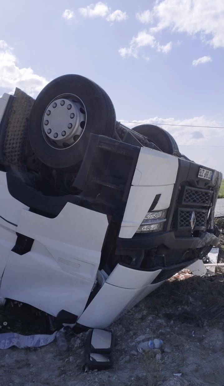 Devrilen tur yolu ulaşıma kapattı