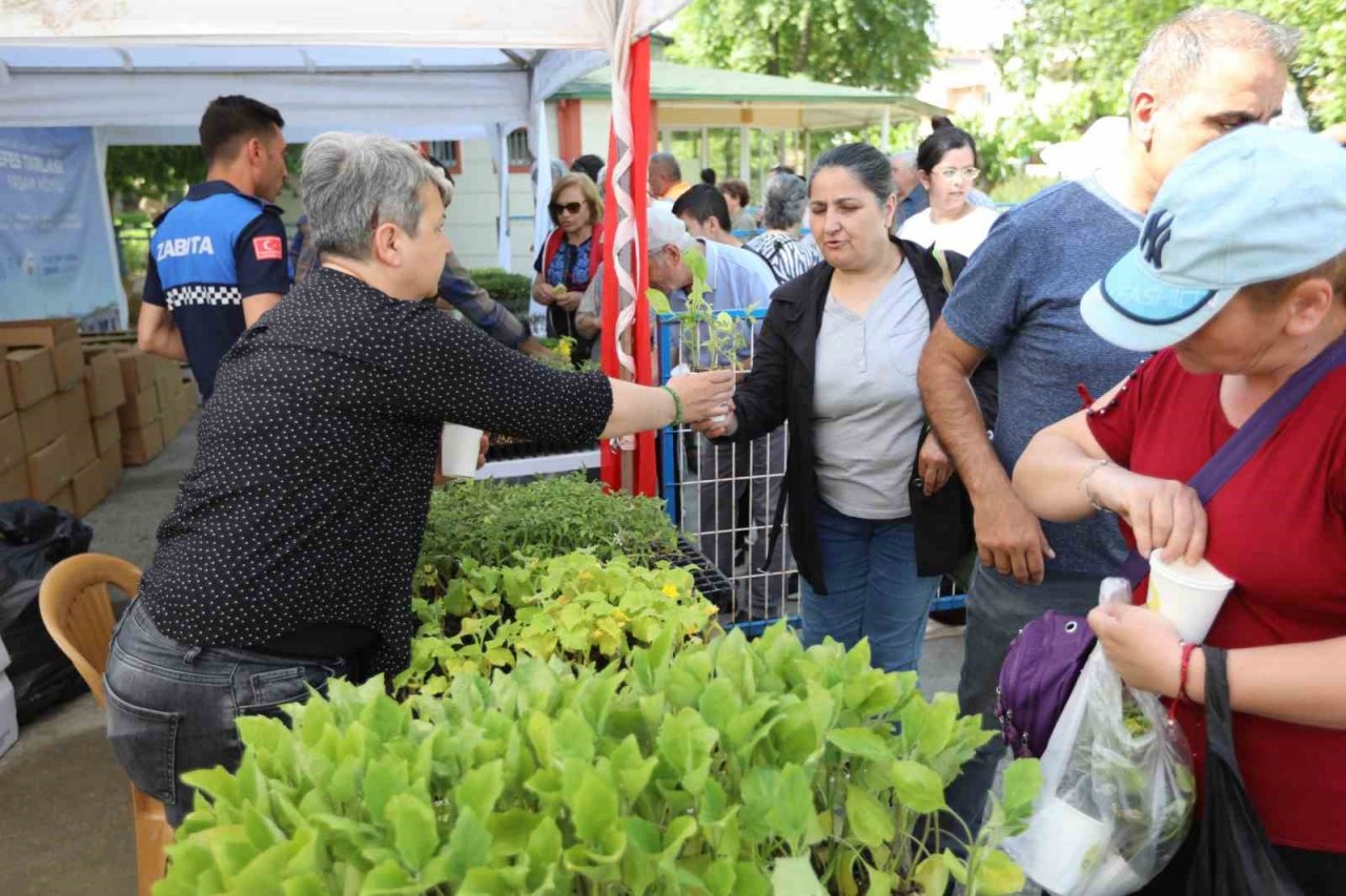 Selçuk’ta dağıtılan fidelerle sofralar bereketlenecek
