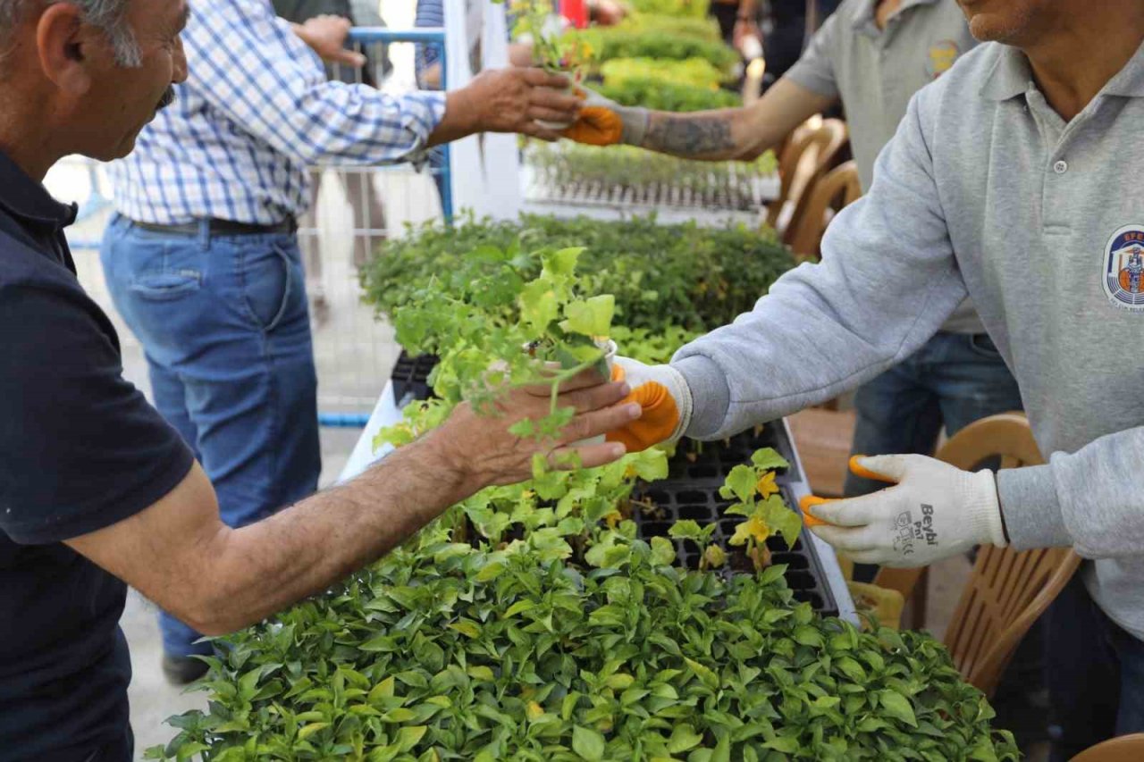 Selçuk’ta dağıtılan fidelerle sofralar bereketlenecek
