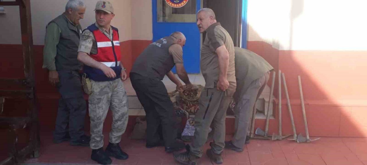 Salep soğanı toplayan 6 kişiye 678 bin lira ceza