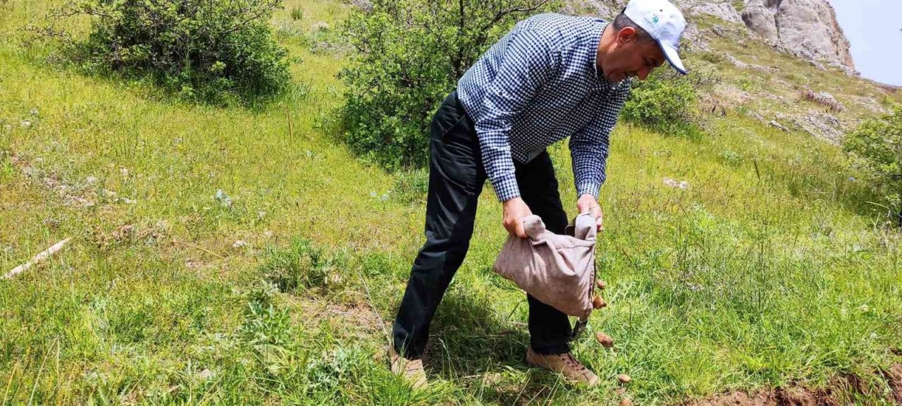 Salep soğanı toplayan 6 kişiye 678 bin lira ceza