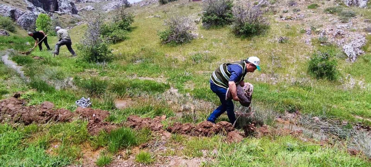 Salep soğanı toplayan 6 kişiye 678 bin lira ceza