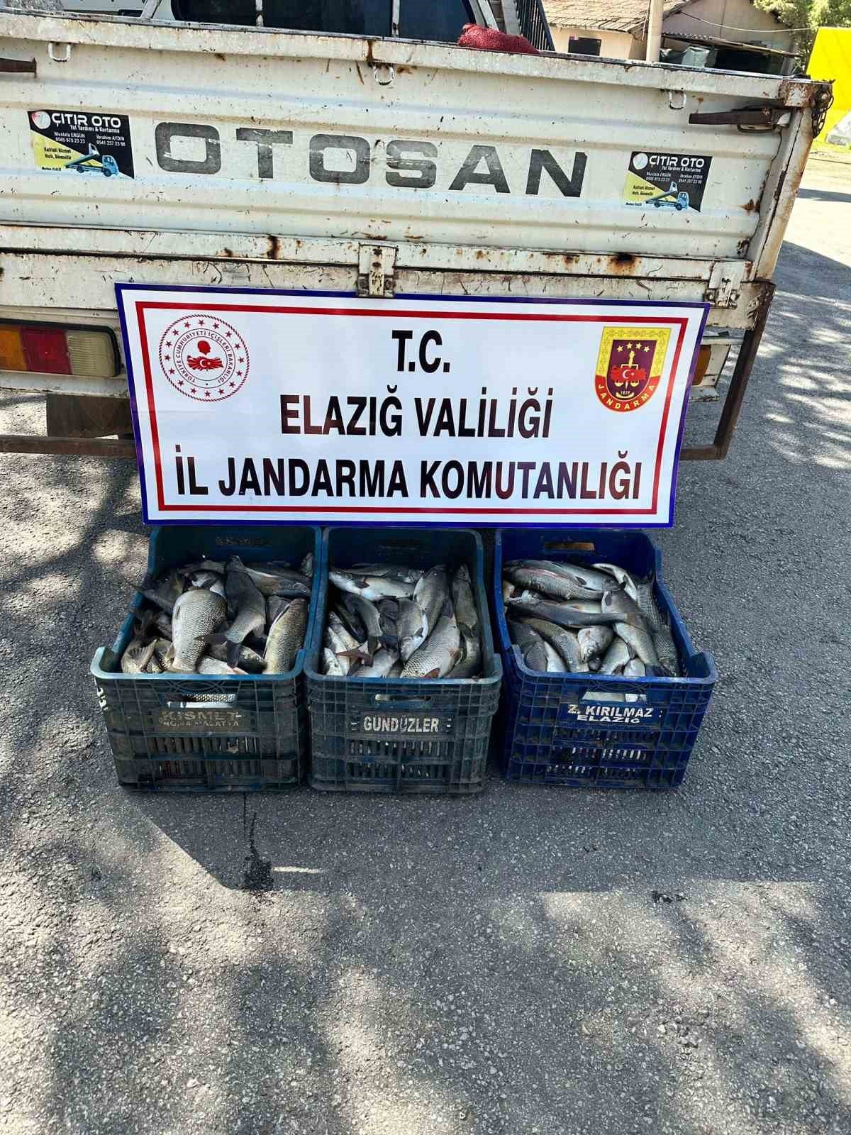 Elazığ’da kaçak balık avı yapan şüpheli yakalandı