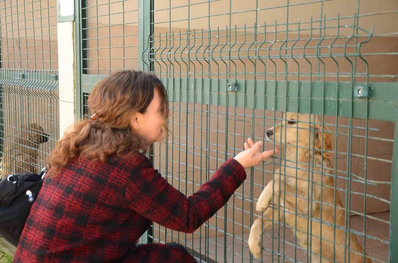 Öğrencilerden barınağa ziyaret
