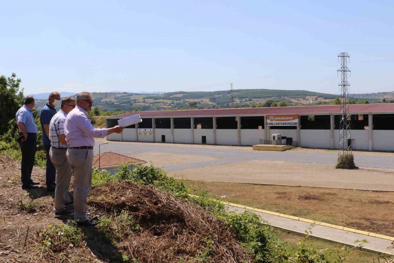 Bafra Canlı Hayvan Pazarı yeniden açıldı