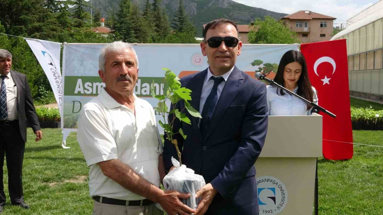 Akademik fidanlar çiftçilere dağıtıldı