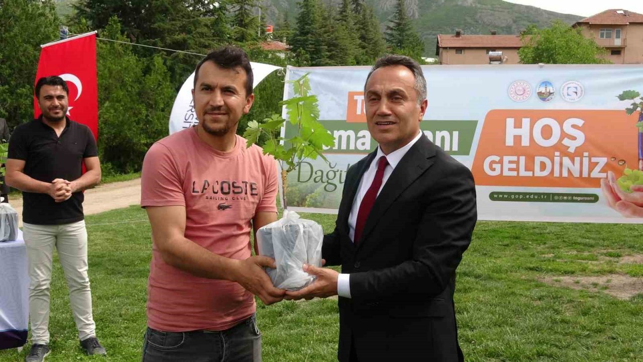 Akademik fidanlar çiftçilere dağıtıldı