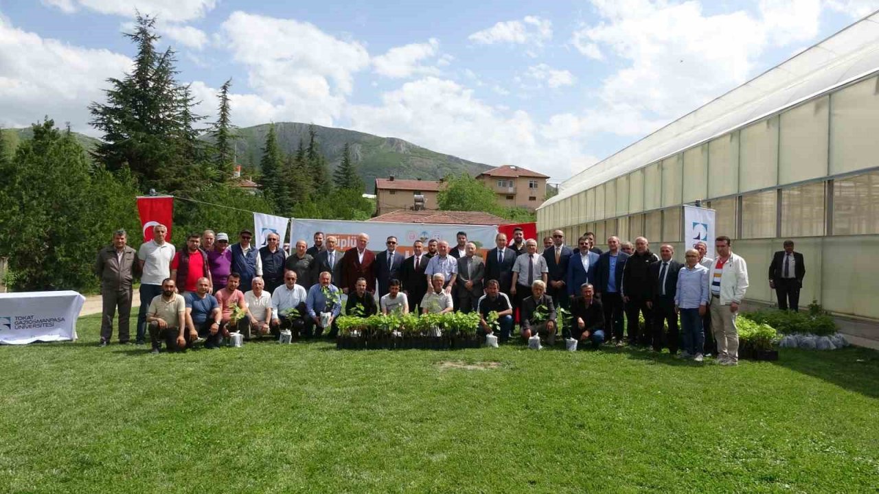 Akademik fidanlar çiftçilere dağıtıldı