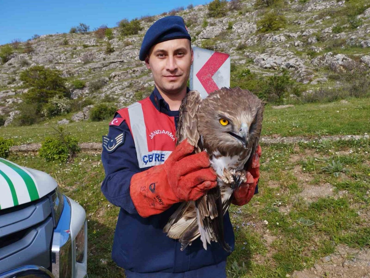 Tokat’ta yaralı bulunan kartal tedavi altına alındı