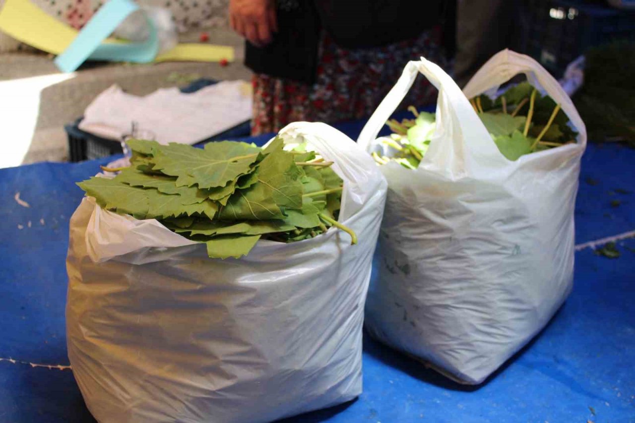 Sarmaların vazgeçilmezi asma yaprakları tezgahlarda yerini aldı