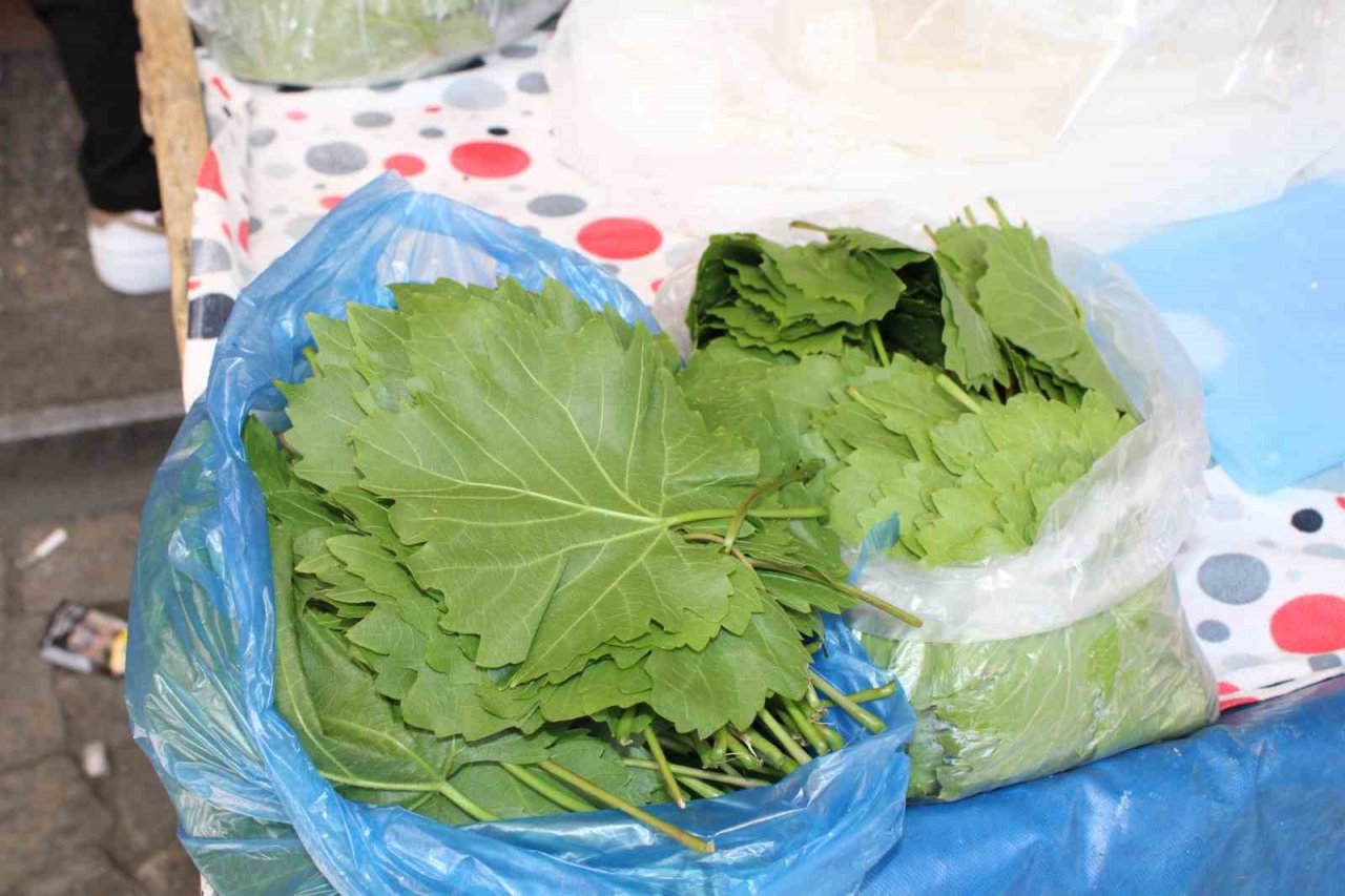 Sarmaların vazgeçilmezi asma yaprakları tezgahlarda yerini aldı