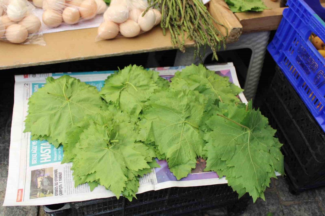 Sarmaların vazgeçilmezi asma yaprakları tezgahlarda yerini aldı