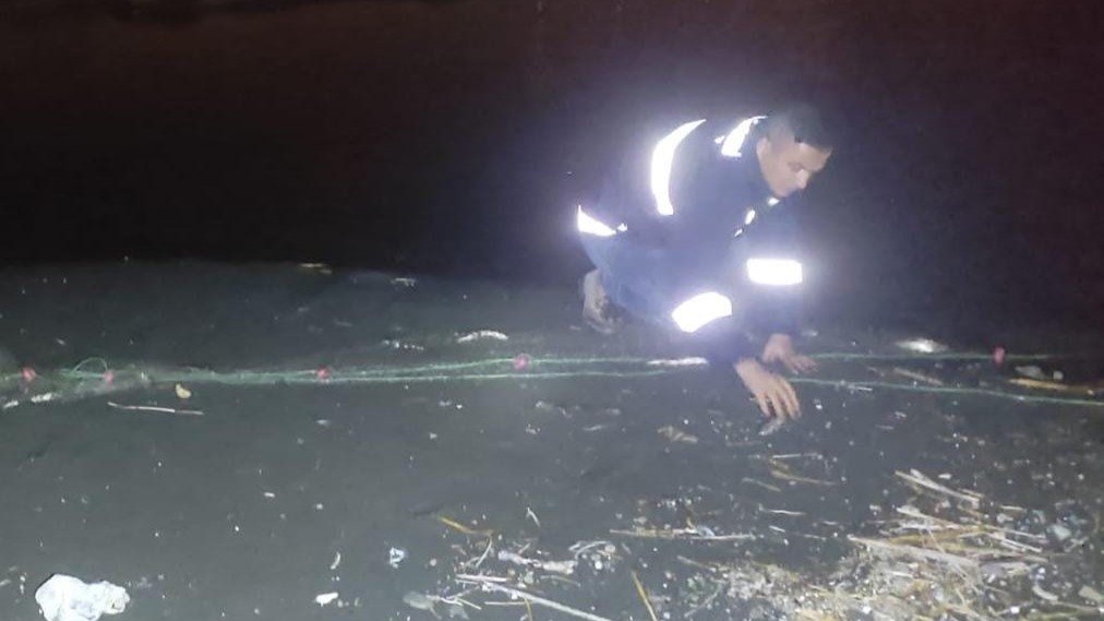 Van’da 150 kilo inci kefali ele geçirildi