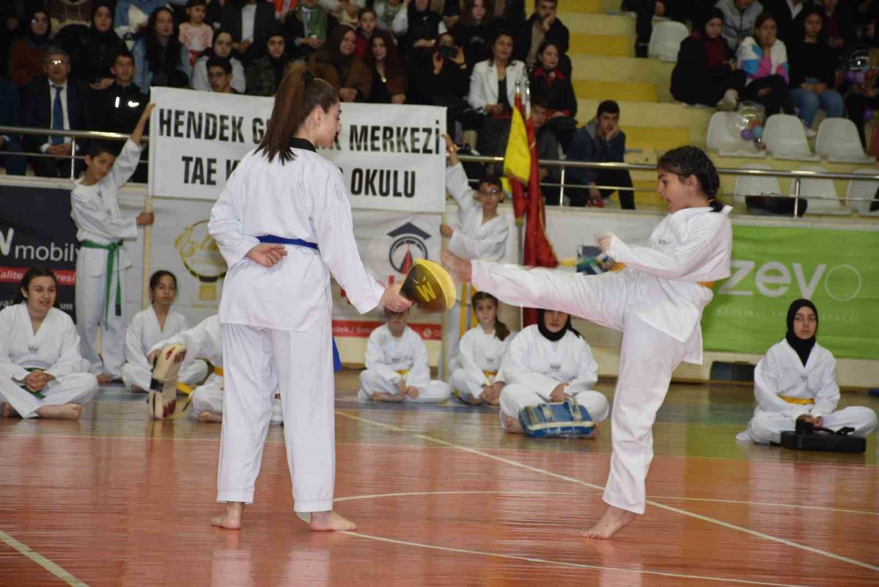 Hendek’te 19 Mayıs coşkusu