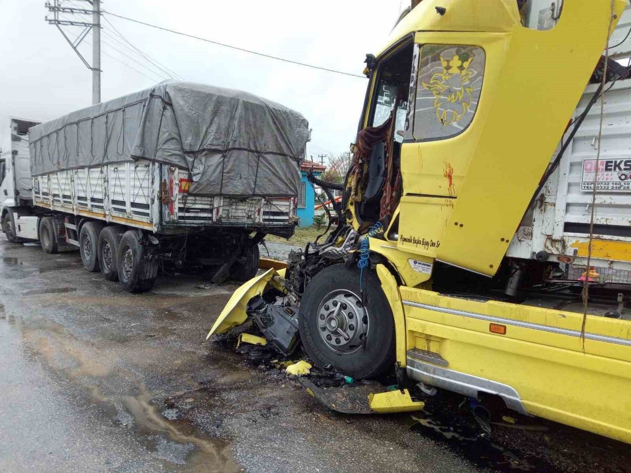 İki tırın çarpıştığı kazada 3 kişi yaralandı, 8 büyükbaş hayvan telef oldu