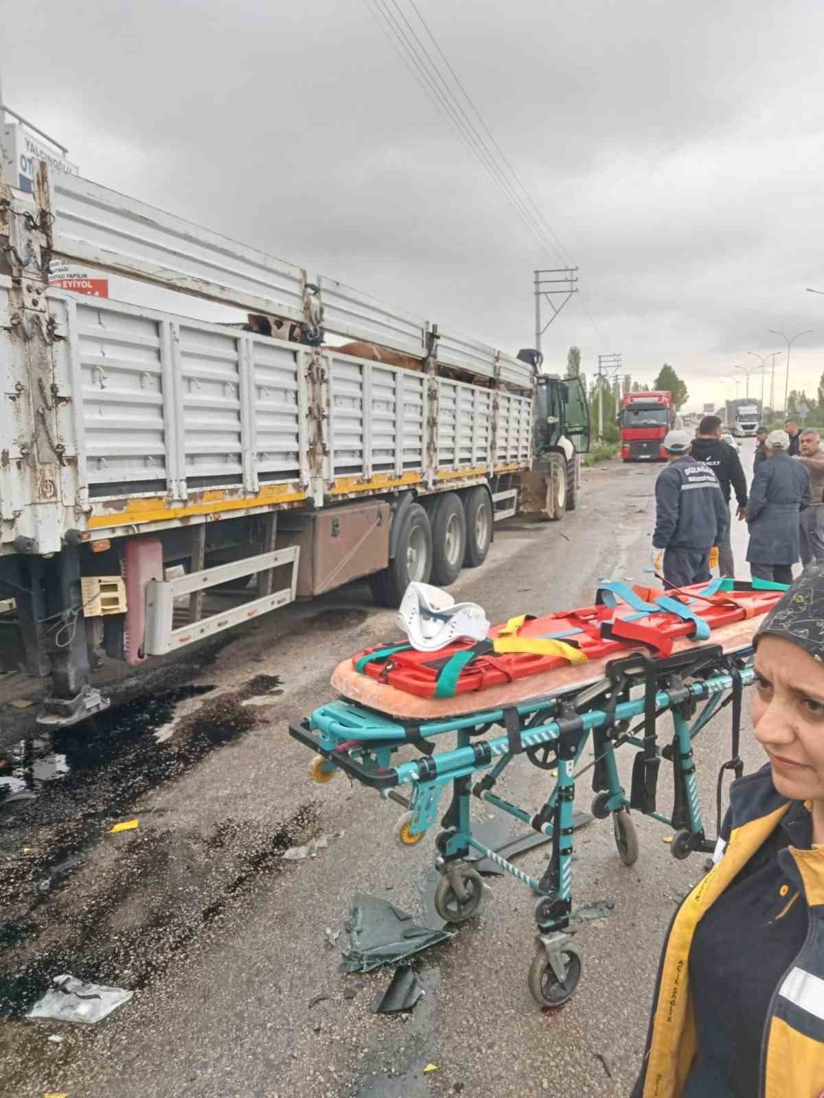 İki tırın çarpıştığı kazada 3 kişi yaralandı, 8 büyükbaş hayvan telef oldu
