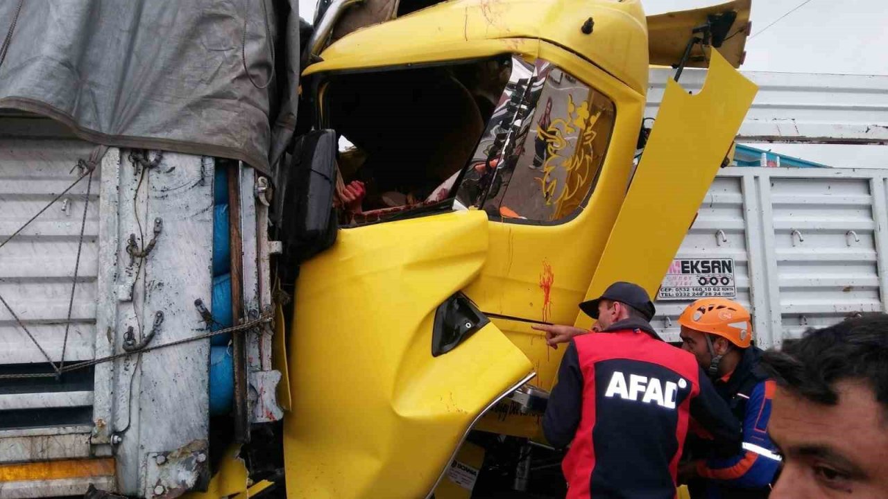 İki tırın çarpıştığı kazada 3 kişi yaralandı, 8 büyükbaş hayvan telef oldu