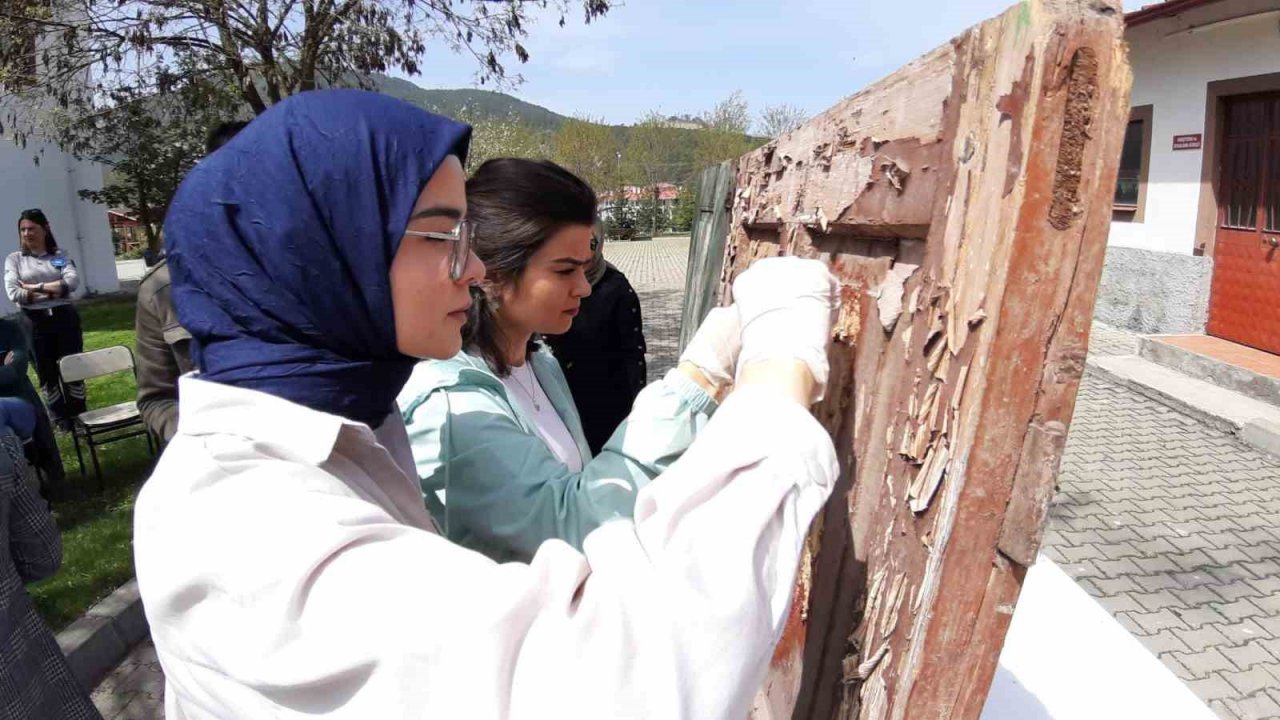 Geleceğin Restorasyon Teknikerleri burada yetişiyor