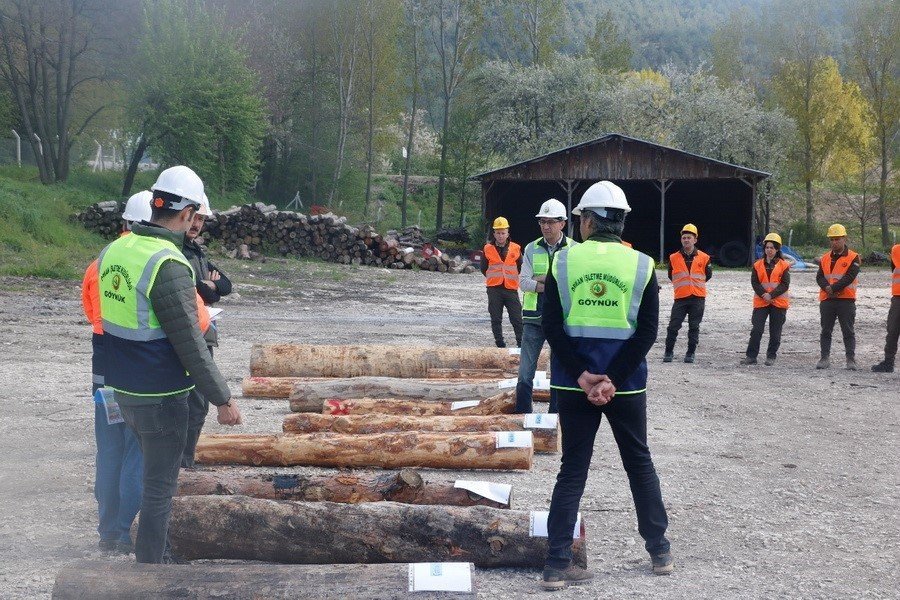 Güvenli ağaç kesimi için eğitim verildi