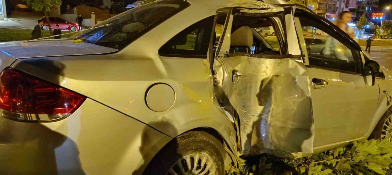 Kontrolden çıkan araç aydınlatma direği ve ağaçları devirdi