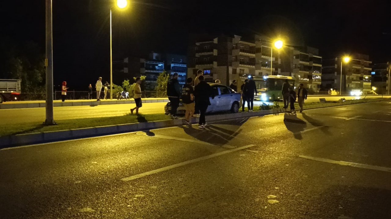 Kontrolden çıkan araç aydınlatma direği ve ağaçları devirdi