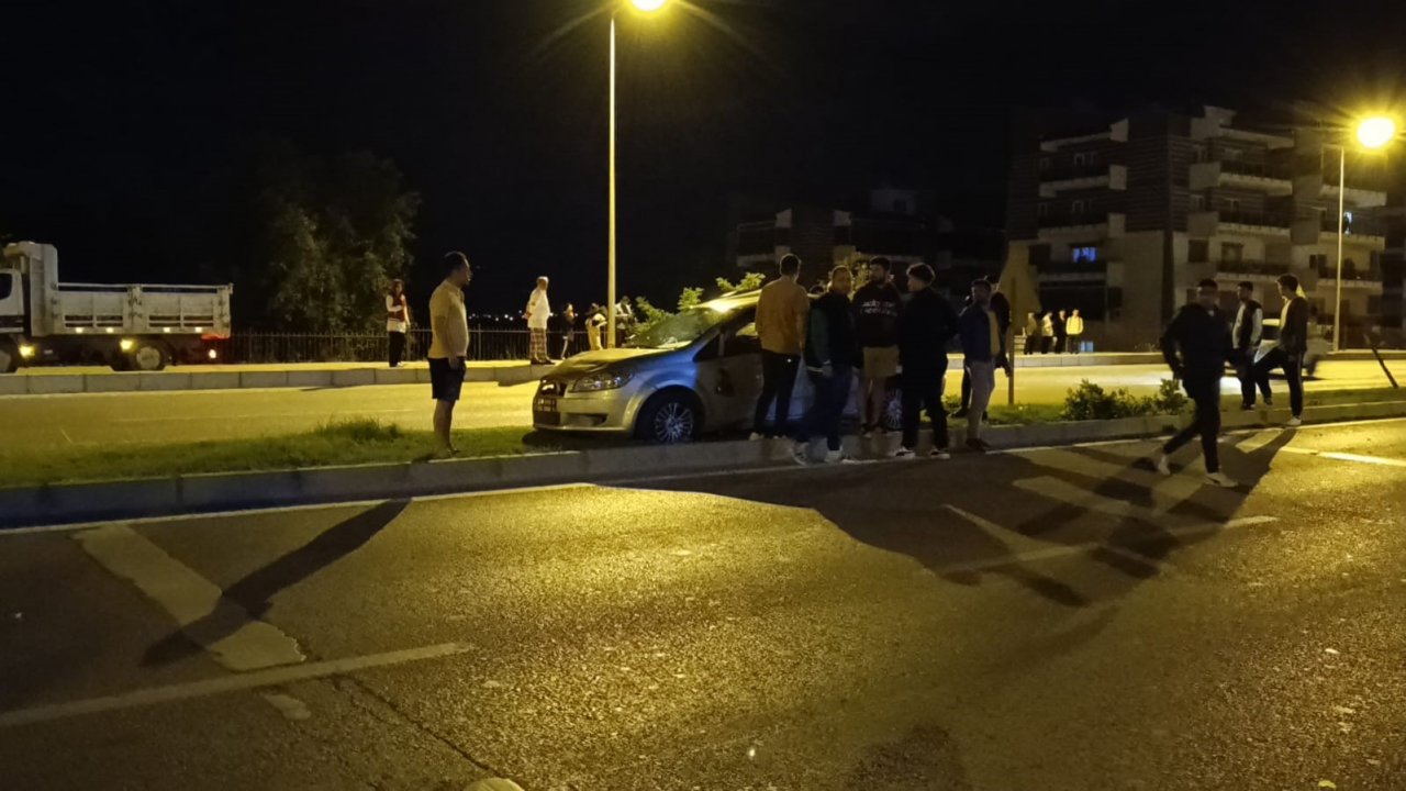 Kontrolden çıkan araç aydınlatma direği ve ağaçları devirdi